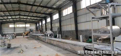 筹建自动化粉条加工厂 前期市场调研与基本要求全解析